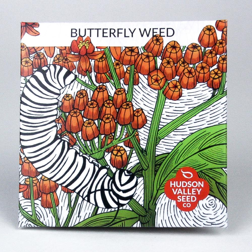 HV Butterfly Weed